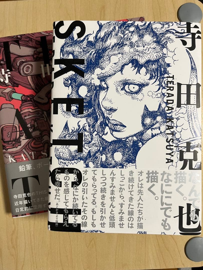 寺田克也 4冊まとめ売りDOMINATRIX HEAVEN アートブック