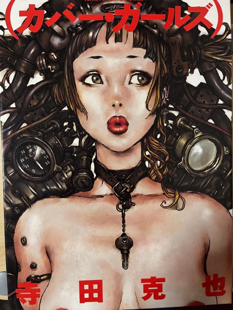 寺田克也 4冊まとめ売りDOMINATRIX HEAVEN アートブック