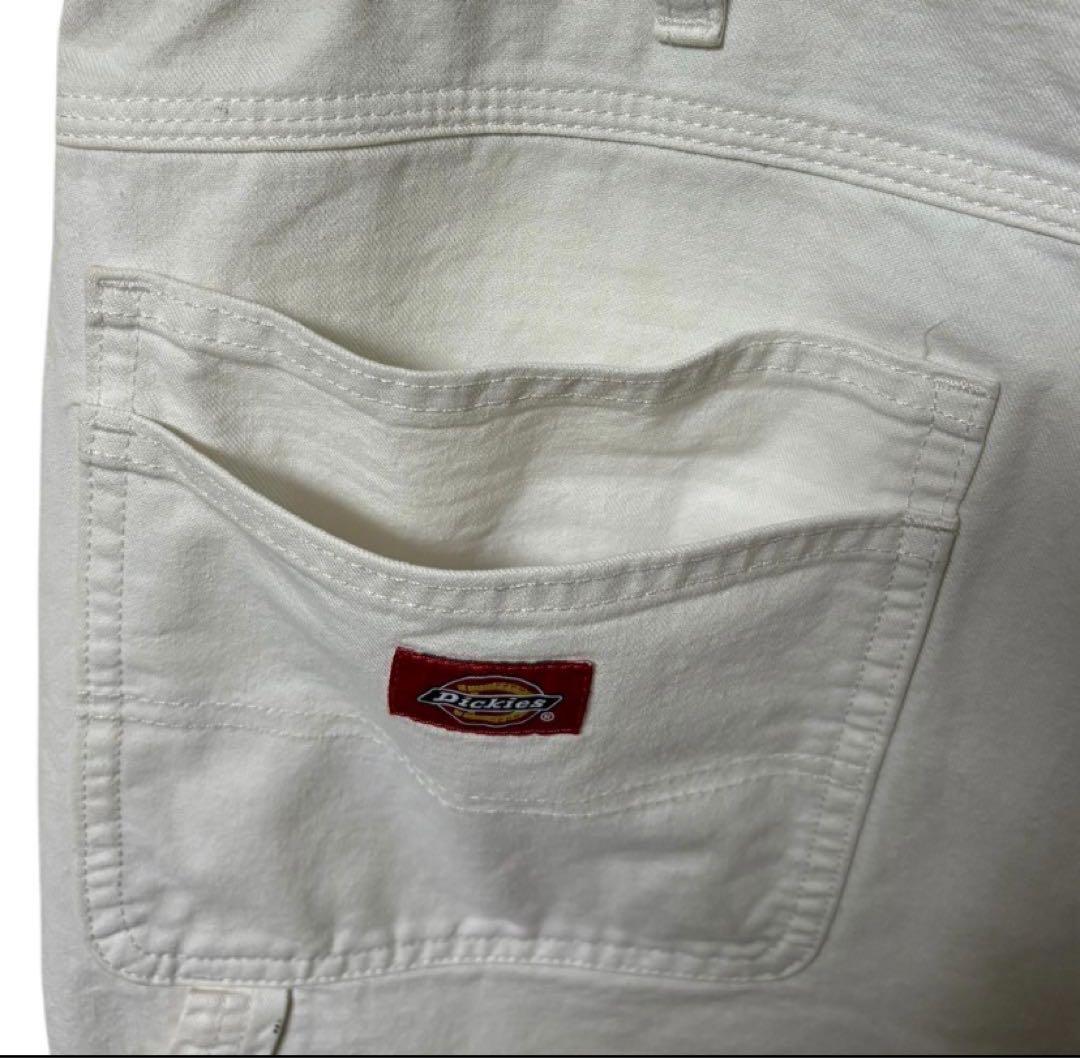 Dickies × SHERWIN WILLIAMS ペインターパンツ ペイント