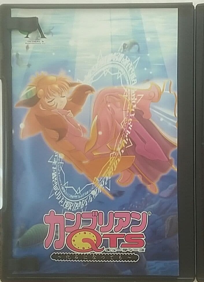 カンブリアンQTS 美品 ハガキ付属 PS2