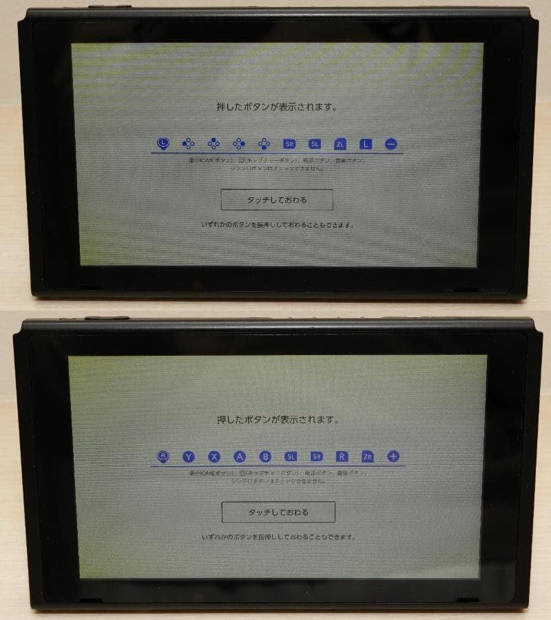 Nintendo Switch 本体 あつまれ どうぶつの森 セット ソフトなし