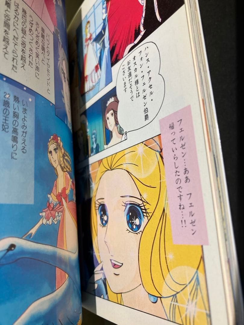 ベルサイユのばら 6: オールカラー (中公文庫 コミック版 い 1-13)