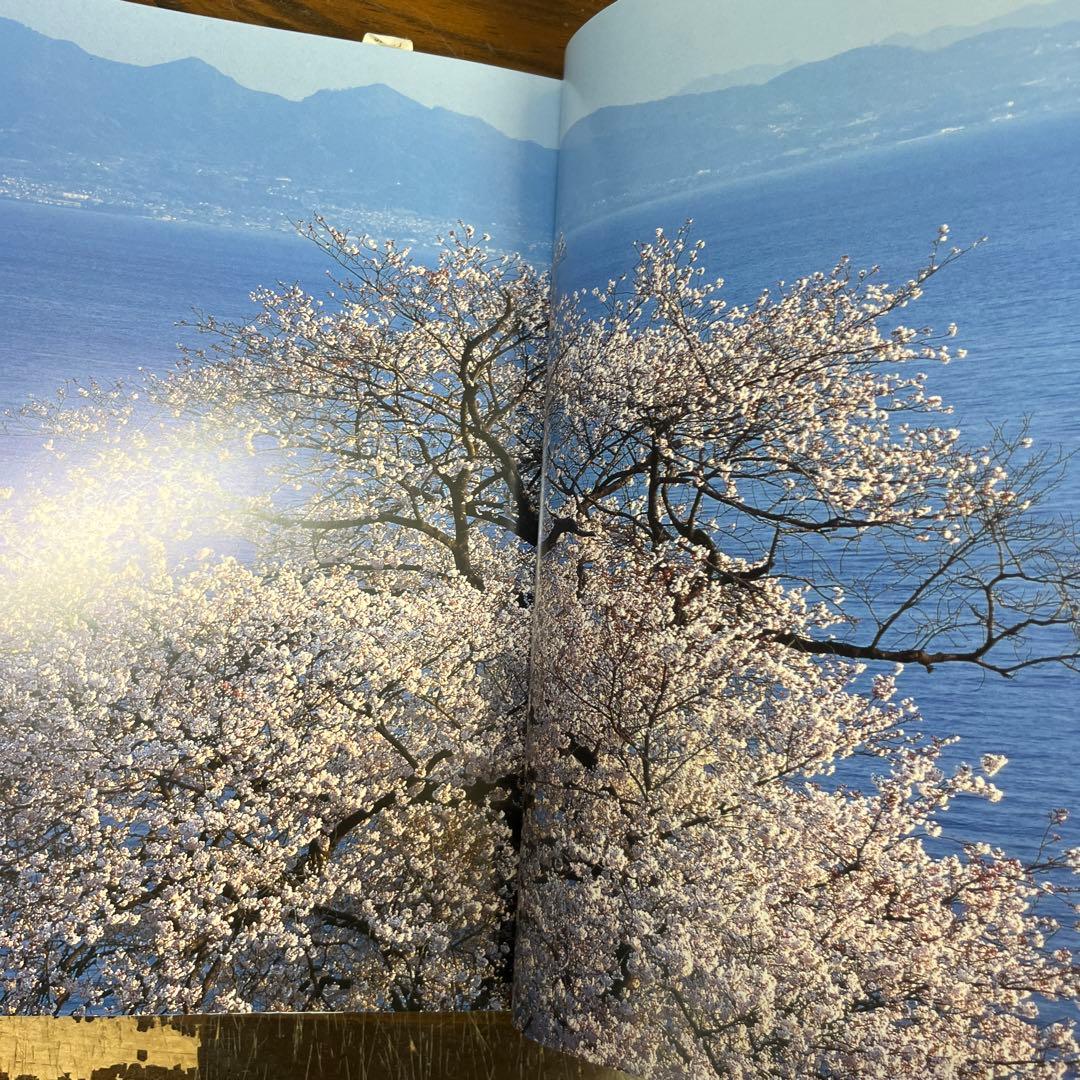 日本列島 花乃聲 /櫻乃聲/日本列島 季乃聲　鈴木一雄写真集　3作
