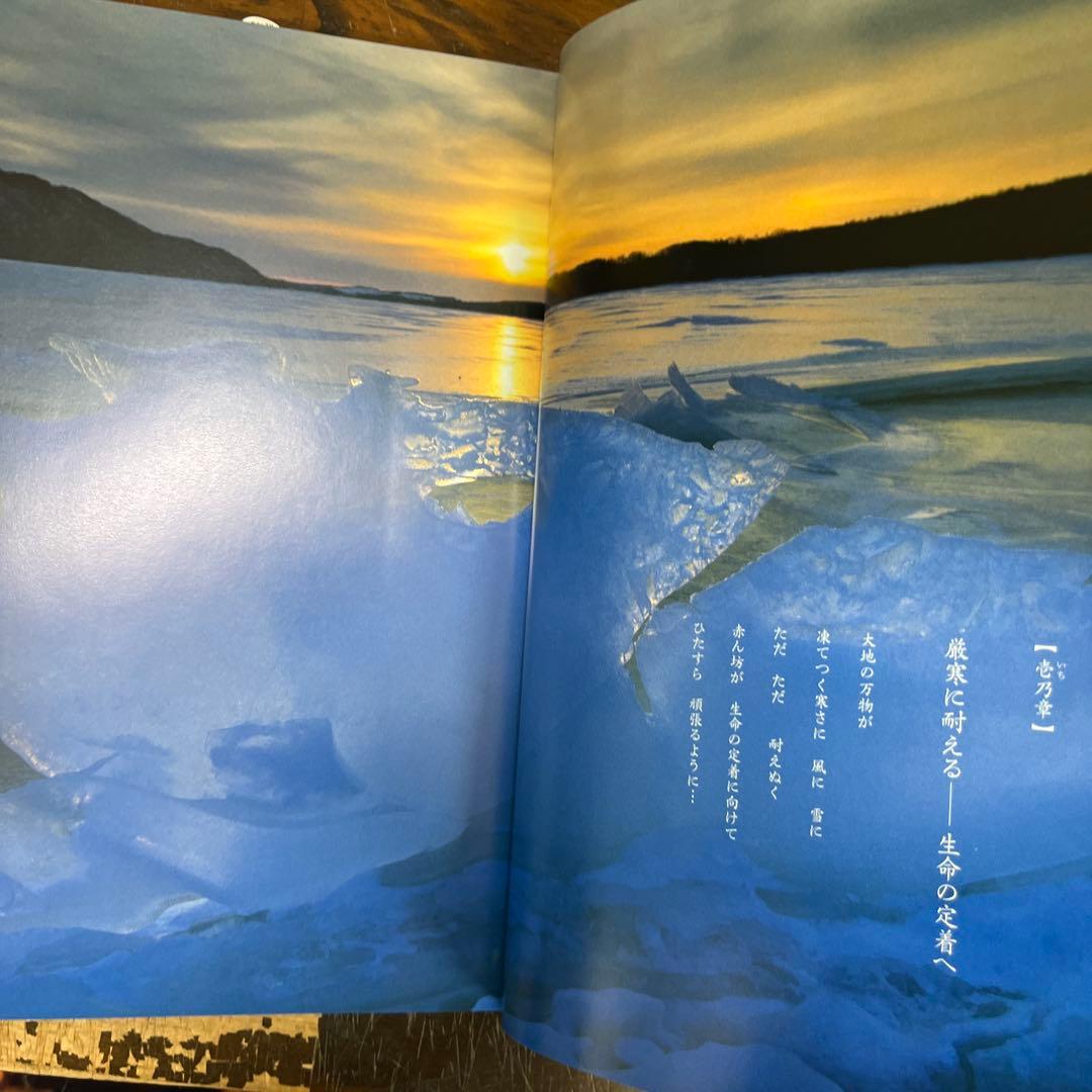 日本列島 花乃聲 /櫻乃聲/日本列島 季乃聲　鈴木一雄写真集　3作