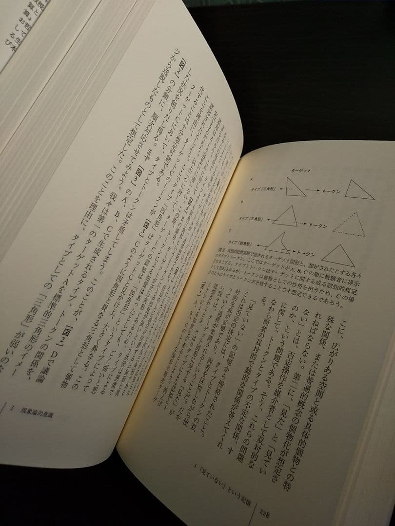 生命理論／郡司ペギオ・幸夫 ☆書き込み無し保証