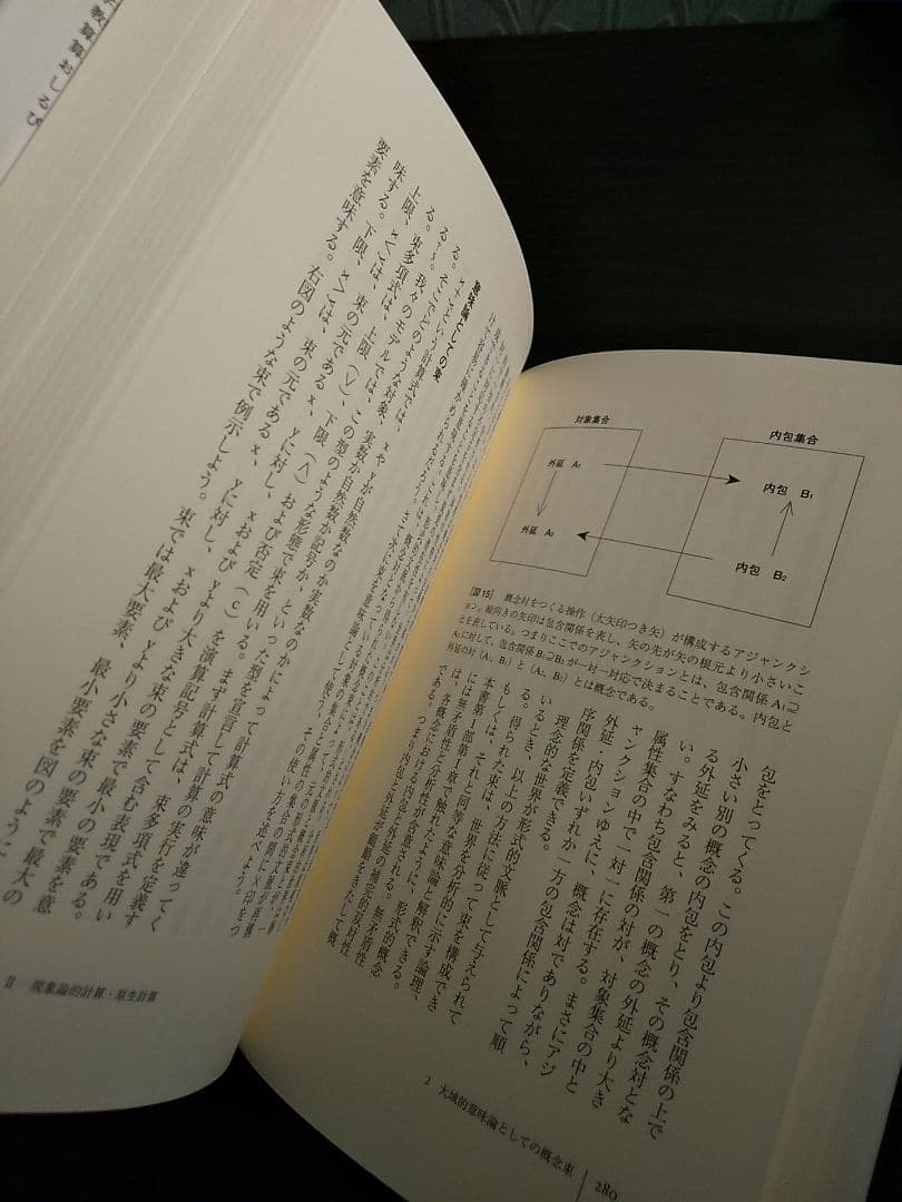生命理論／郡司ペギオ・幸夫 ☆書き込み無し保証