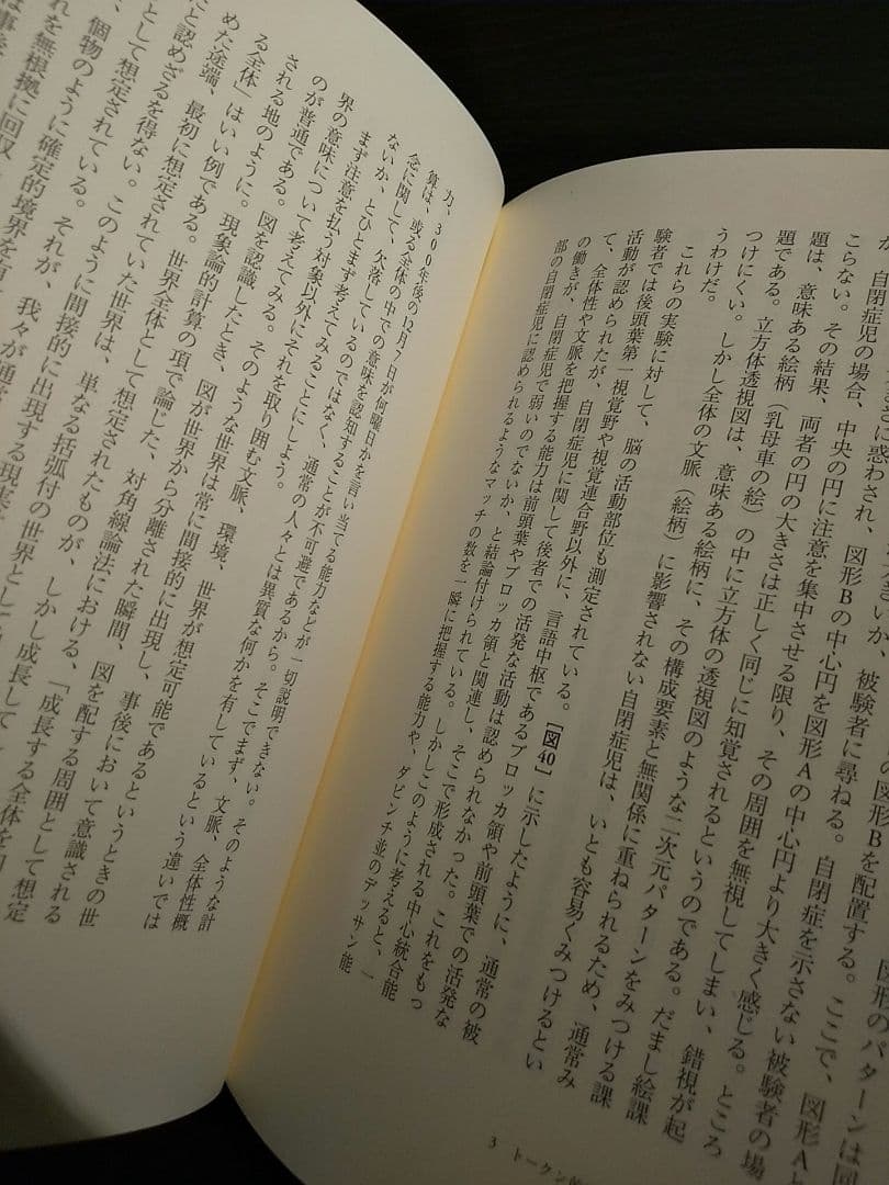生命理論／郡司ペギオ・幸夫 ☆書き込み無し保証
