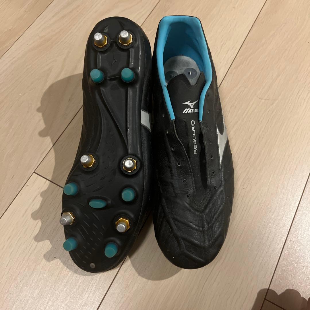 レビュラスパイク特注品