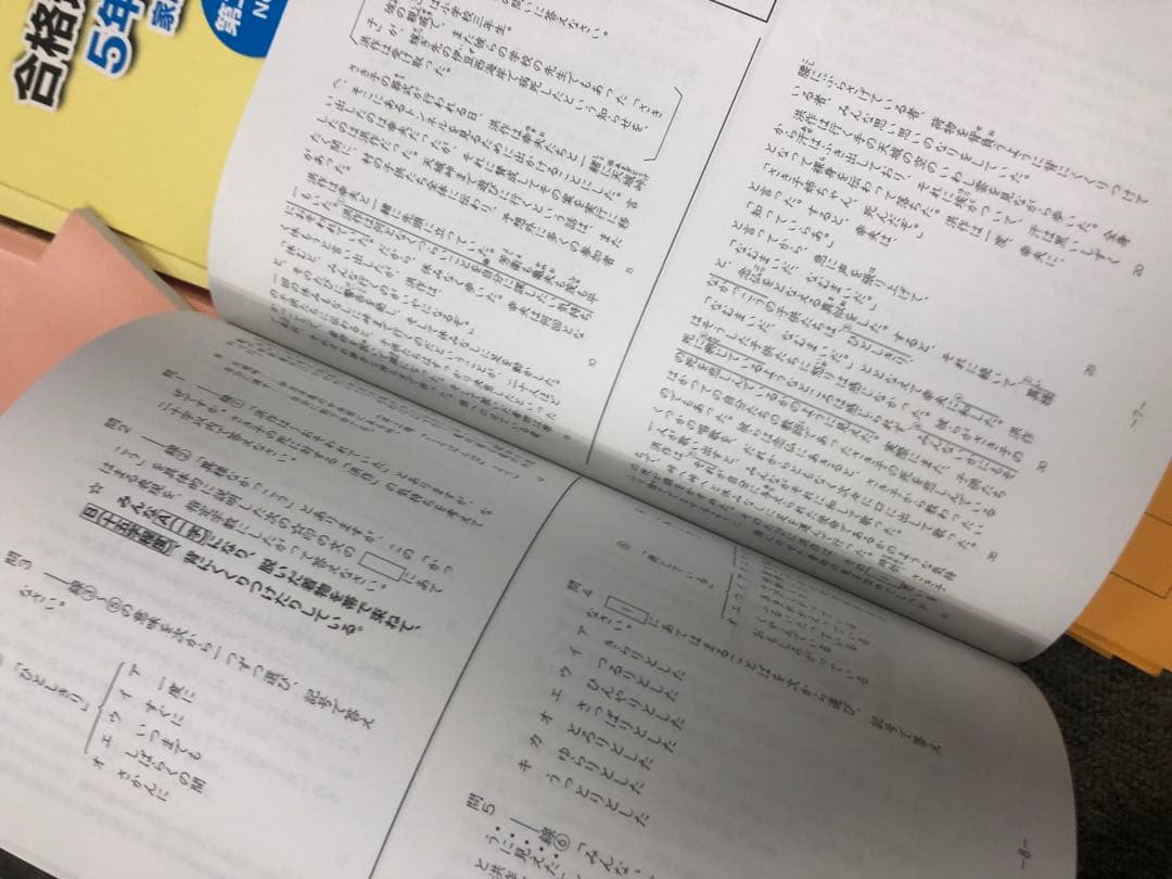 浜学園　5年生国語テキスト　書き込み解答ほぼ無し/ほぼ未使用/苦手対策