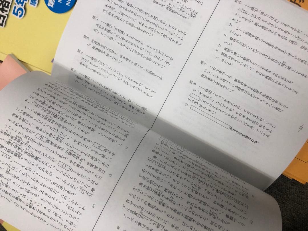 浜学園　5年生国語テキスト　書き込み解答ほぼ無し/ほぼ未使用/苦手対策