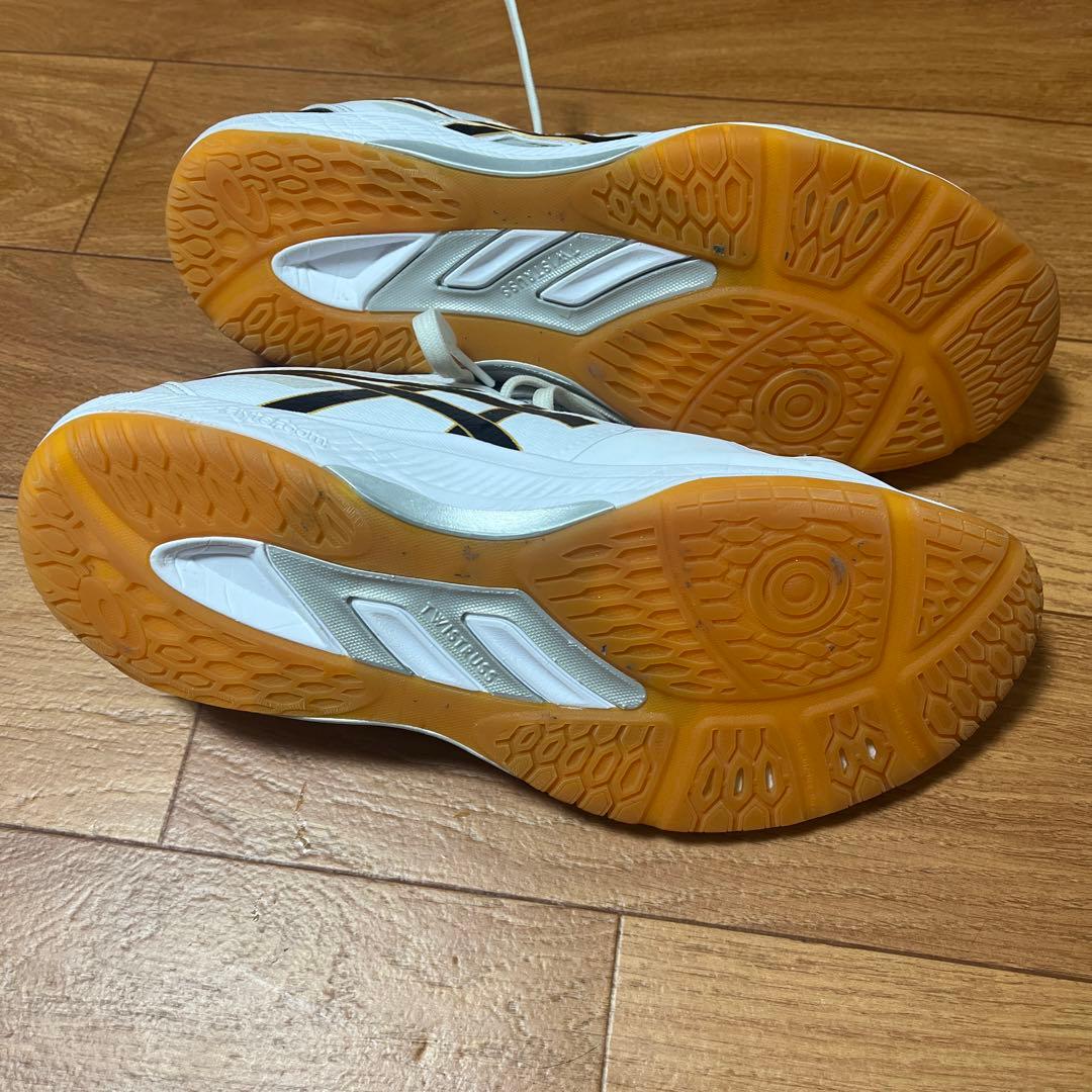 アシックス　ローテジャパンライト27.0cm