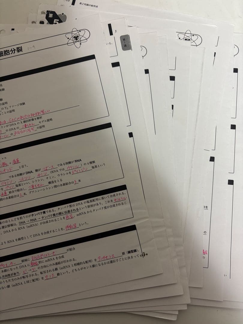 鉄緑会 2023 高2 生物 知識の総完成 全8回分 新課程