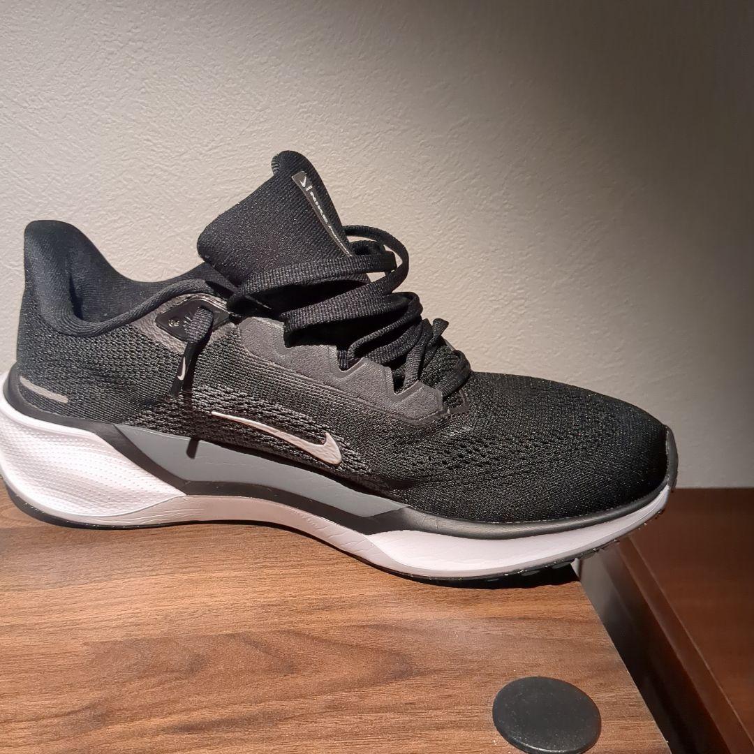Nike エアズームペガサス41　ブラック 25.0cm
