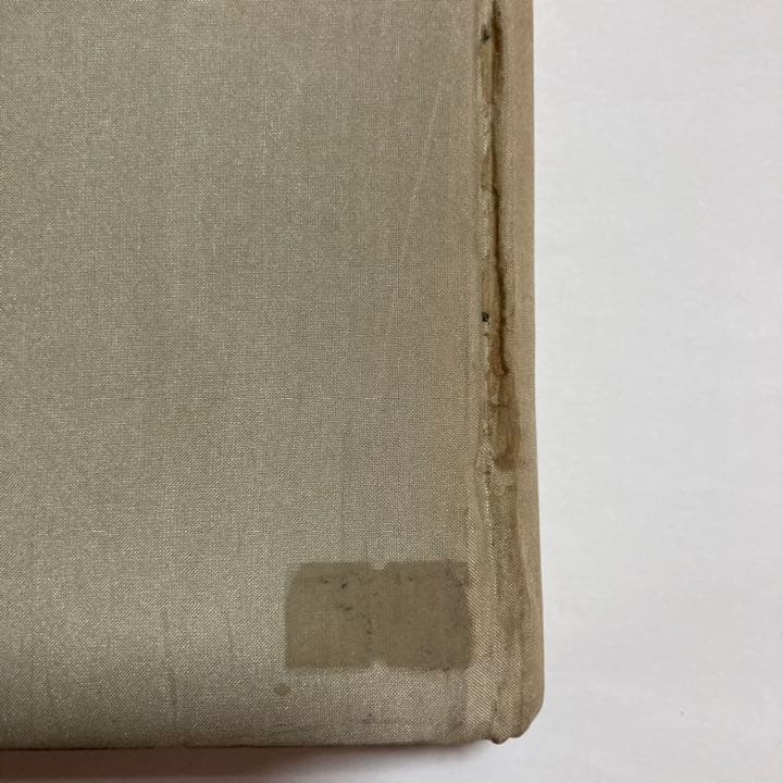 【超希少本】雲夢睡虎地秦墓 （中国語）