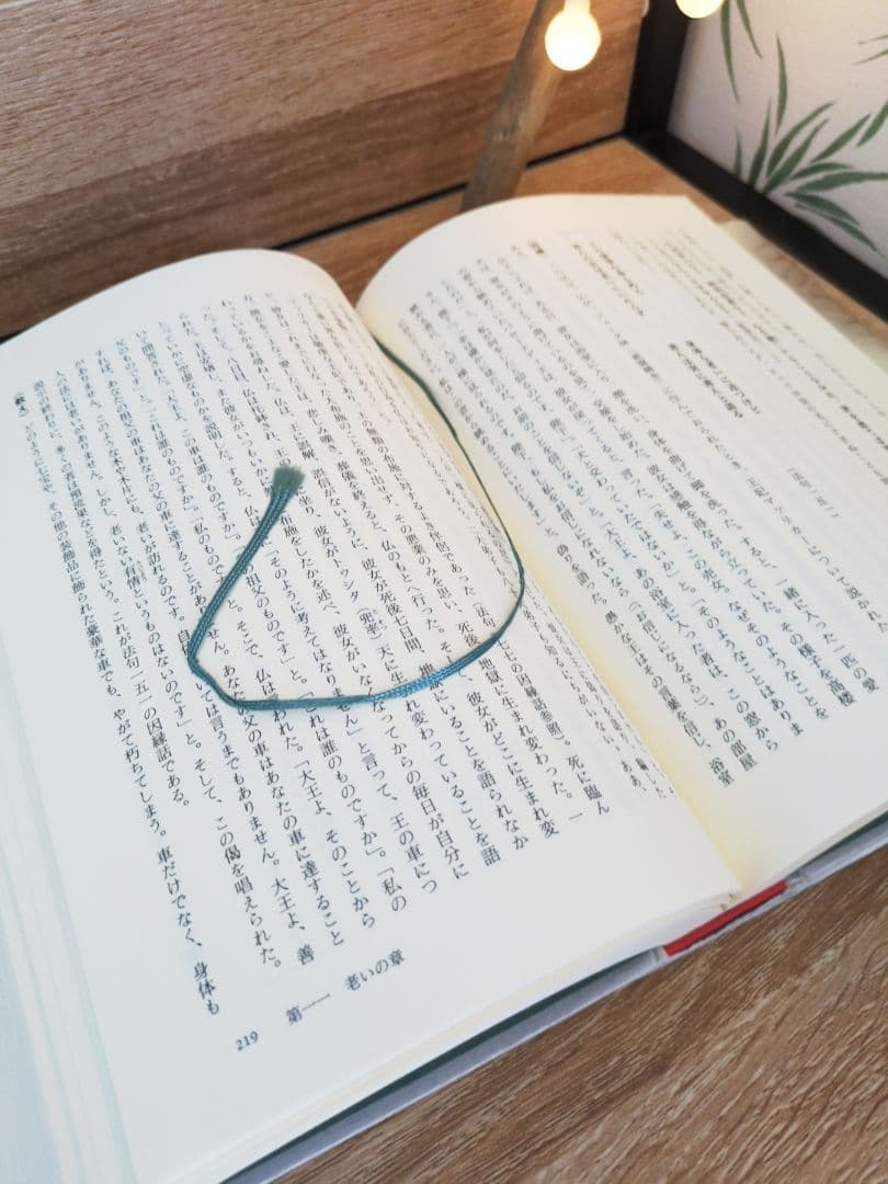 『ダンマパダ 全詩解説』片山一良