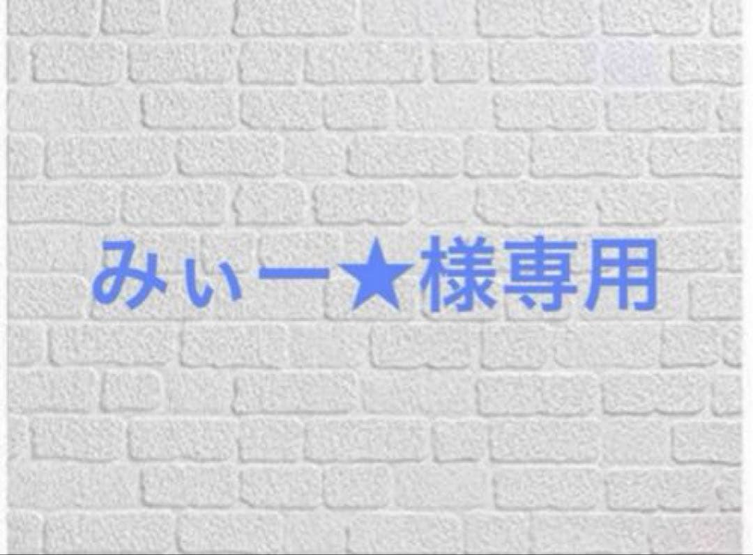 みぃー★ 龍神の最愛婚 ～捨てられた姫巫女の幸福な嫁入り～ 他