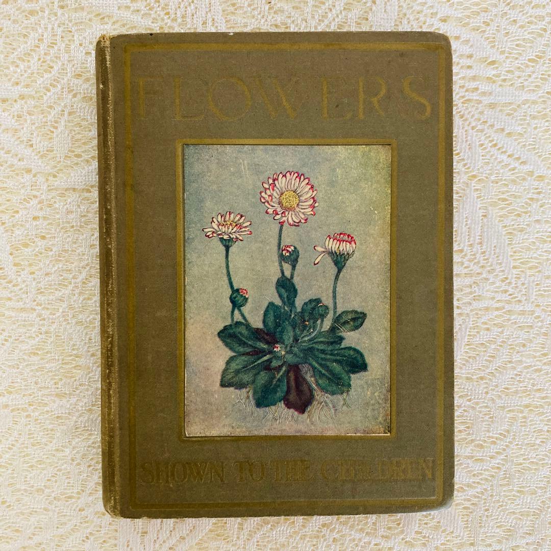 洋書　古書　アンティーク　イギリスの植物図鑑　美しいカラー図版48点♡