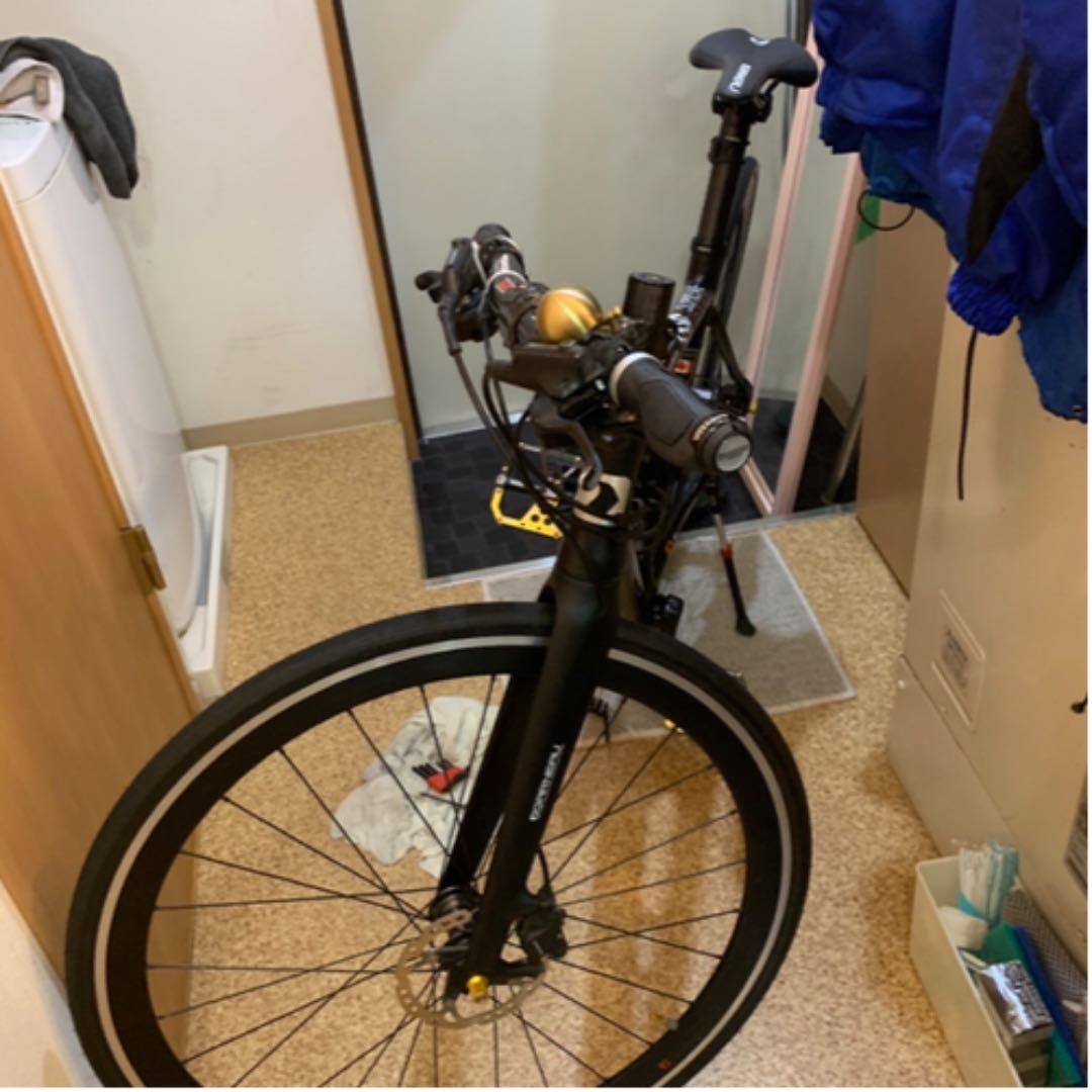 ロードバイクルイガノフルカーボン