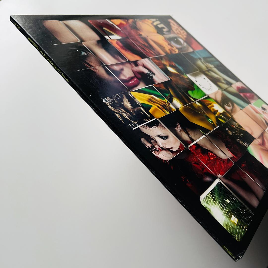 貴重プロモ 2LP レコード 土屋アンナ Taste My xxxRemix