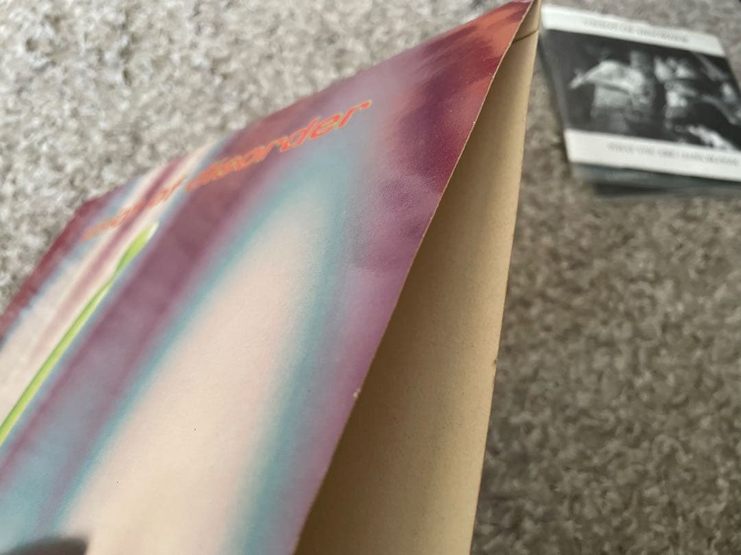 Vision of disorder 1st LP おまけ付