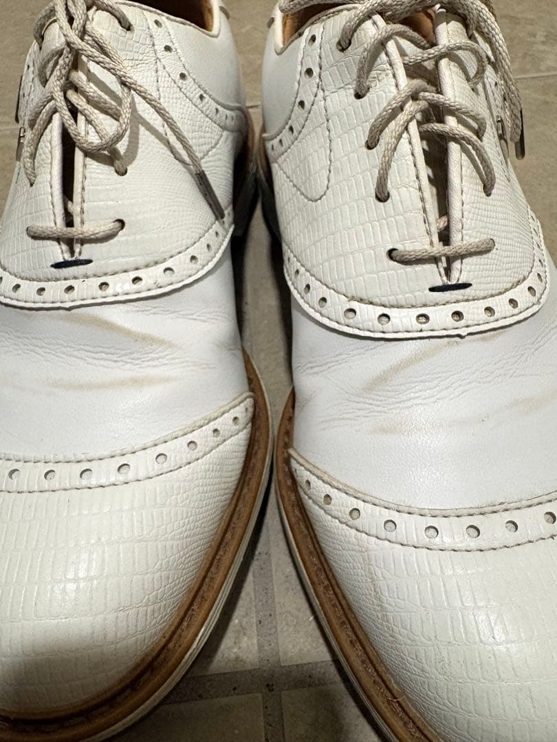 FootJoy フットジョイ ドライジョイズ プレミア ウィルコックス 25.5