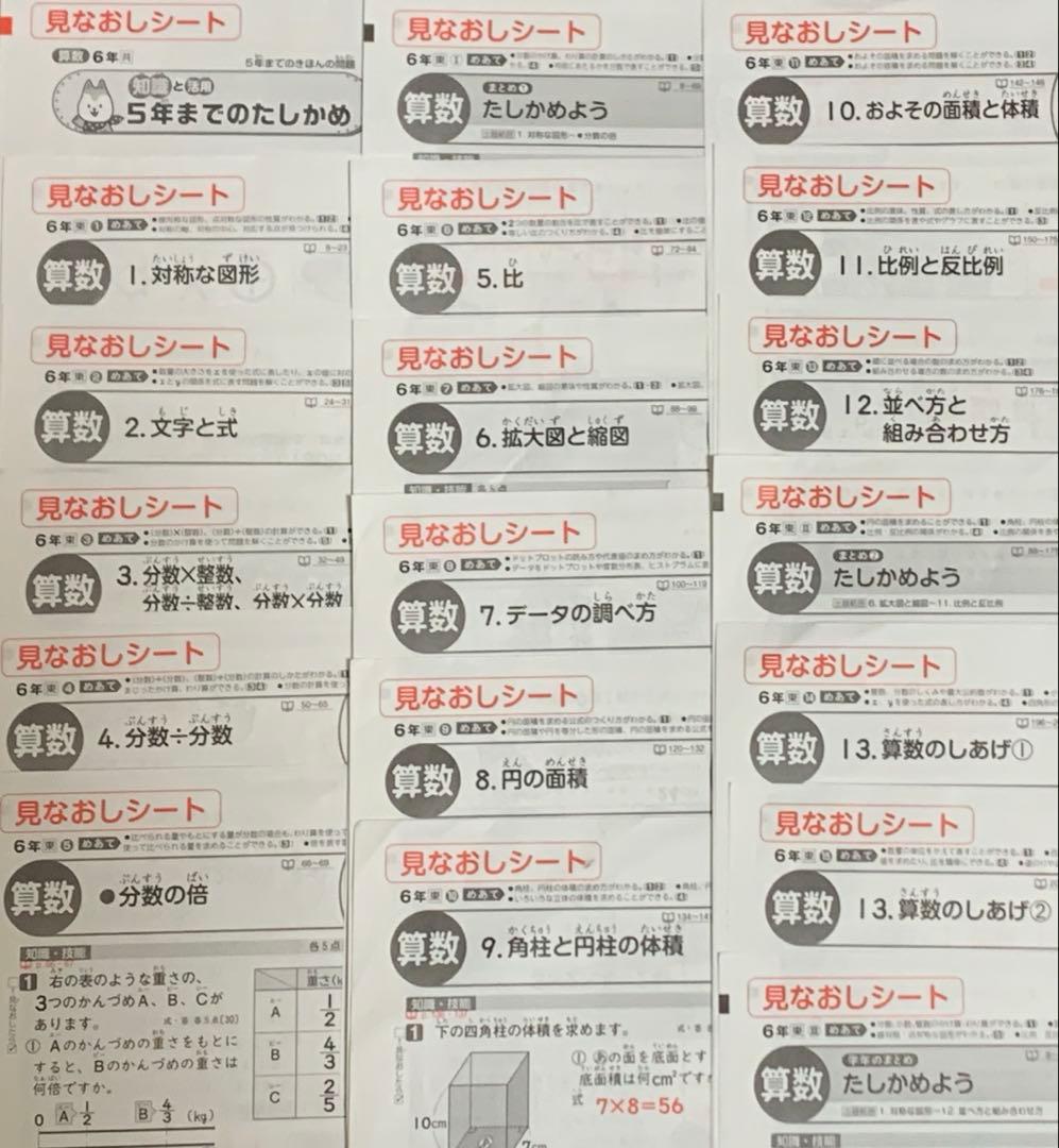 小学校6年　小6算数　カラーテスト　見なおしシート