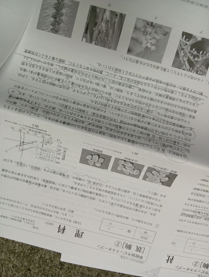 サピックス２０２５年　学校別サピックスオープン（開成①②/筑駒②/渋幕/聖光