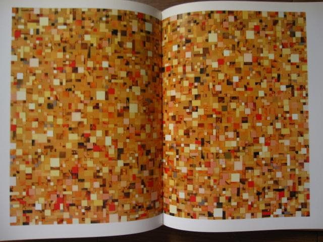 Fred Tomaselli　フレッド・トマセリ
