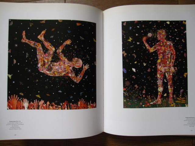 Fred Tomaselli　フレッド・トマセリ