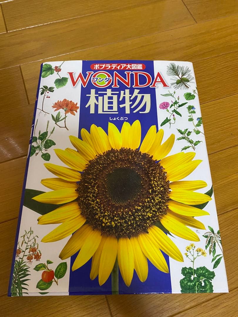 講談社MOVE＆学研他　児童向け図鑑 5冊セット
