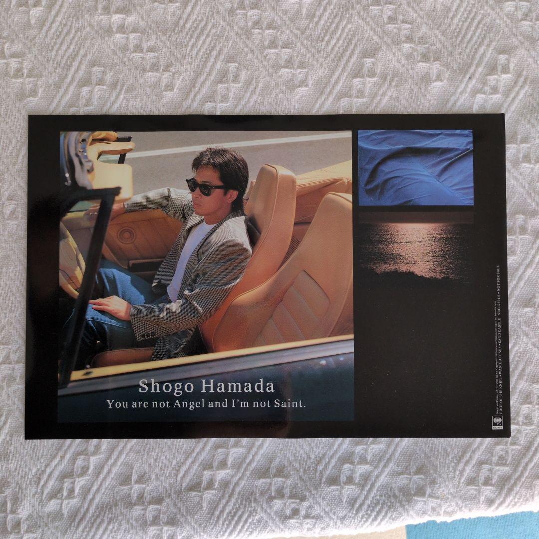 SHOGO HAMADA CD3枚セット