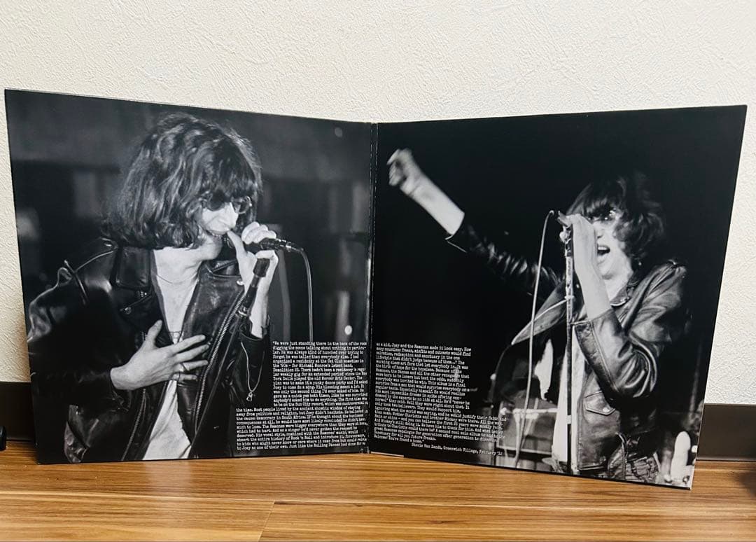 「…ya know?」Joey Ramone レコード