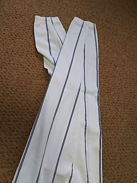 Lサイズ ミズノプロ JAPAN 日本代表 ジャパン ロングパンツ Ｌ寸
