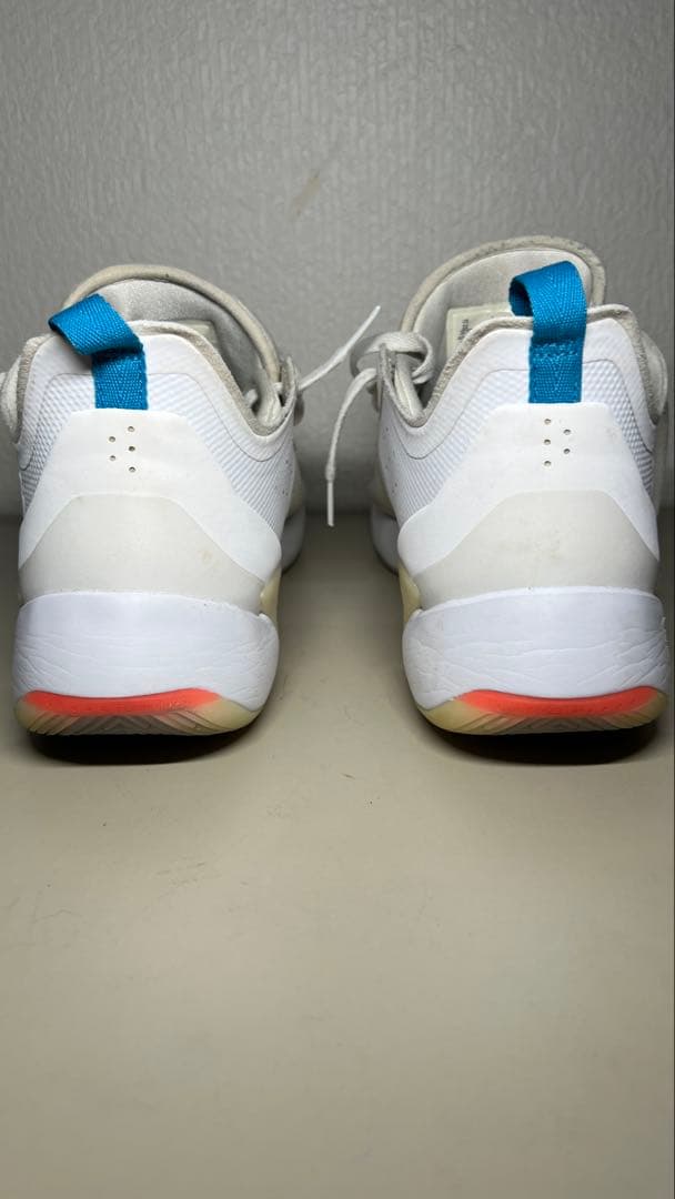 Jordan Luka 1 PF 29cm※値下げ可‼️