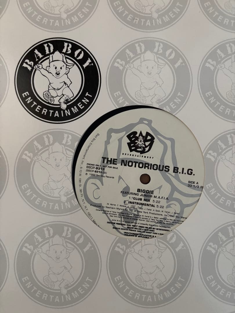 HIPHOP レコード　6枚セット　nelly eve