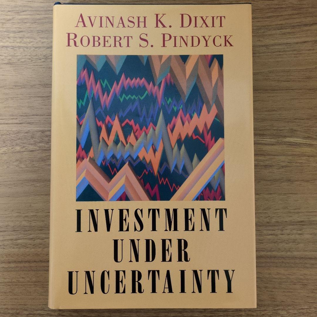 ビジネス・経済 INVESTMENT UNDER UNCERTAINTY