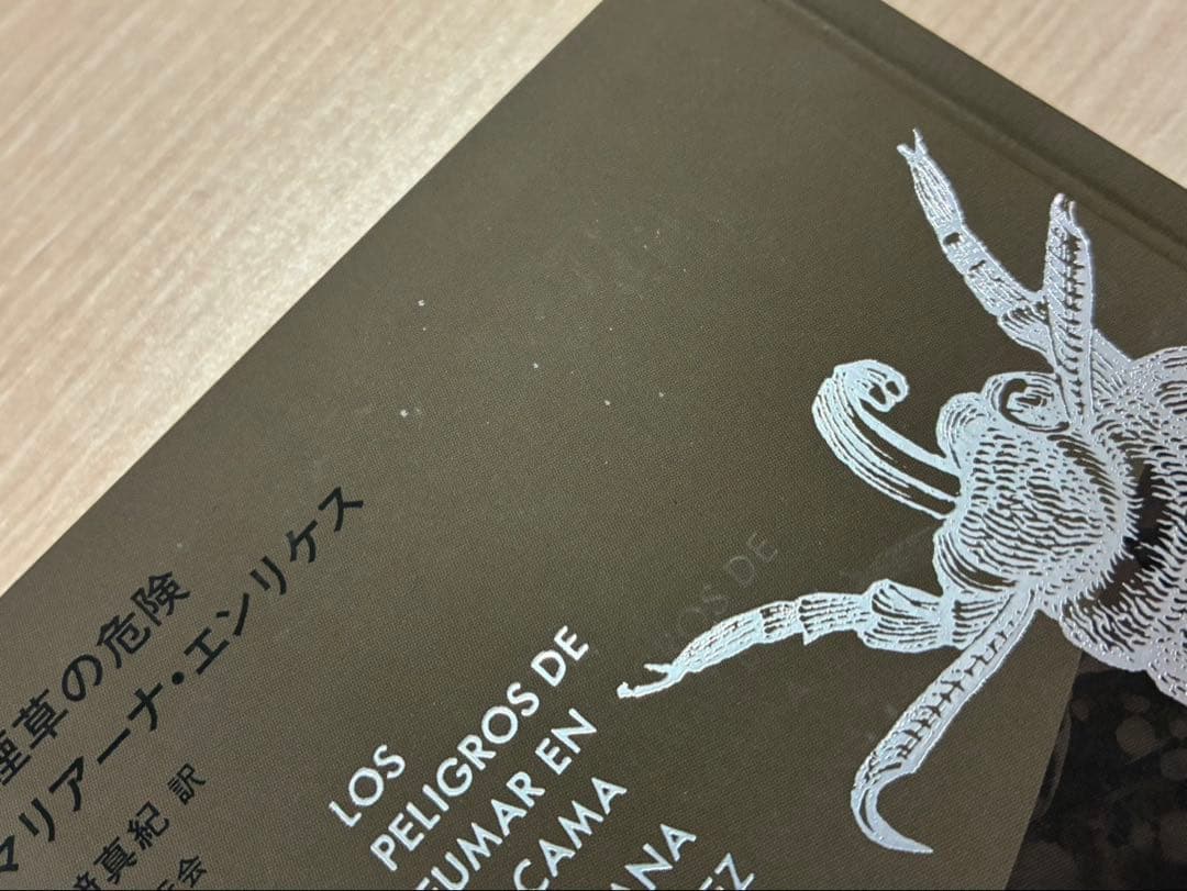 「寝煙草の危険」　国書刊行会 宮﨑真紀 / マリアーナ・エンリケス