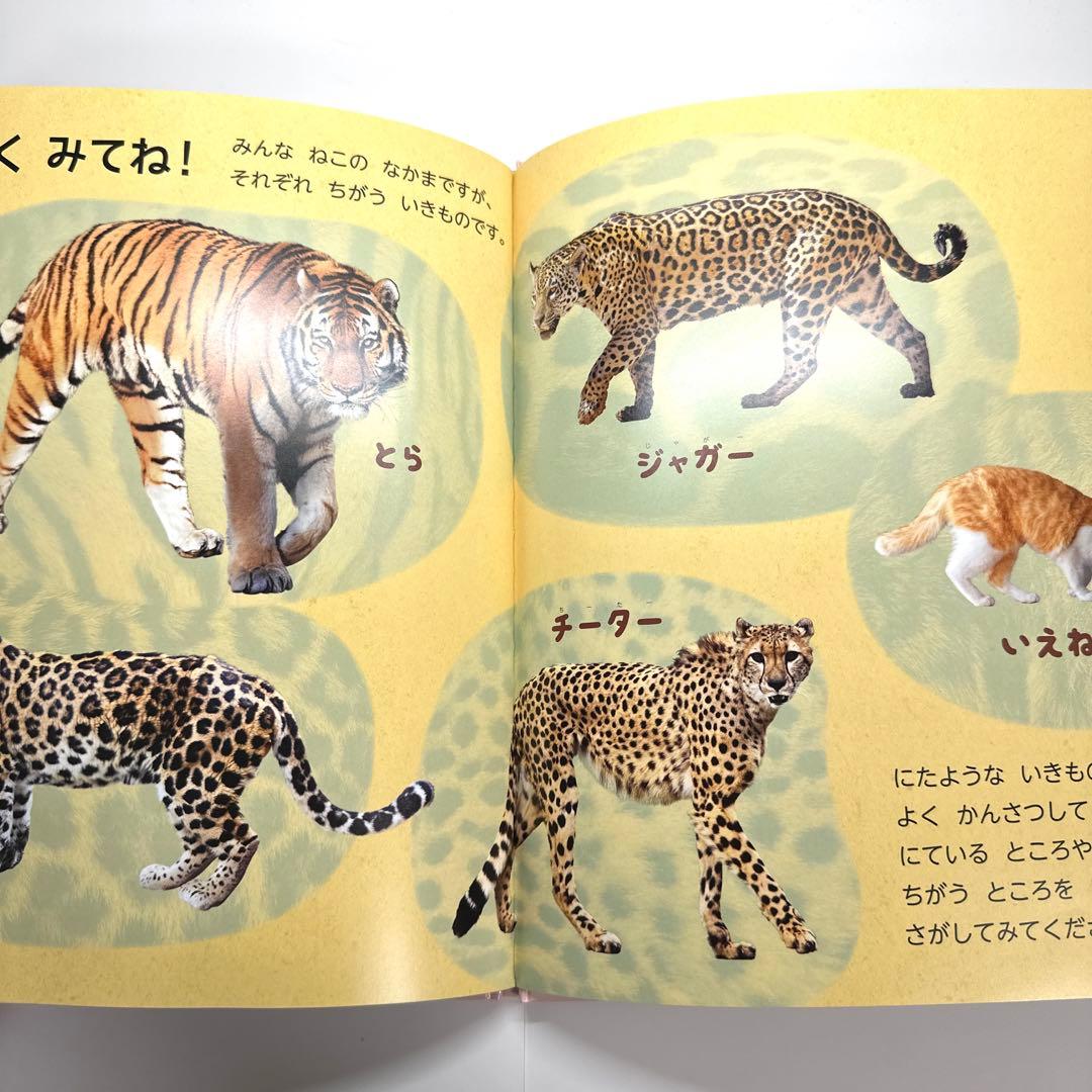 、