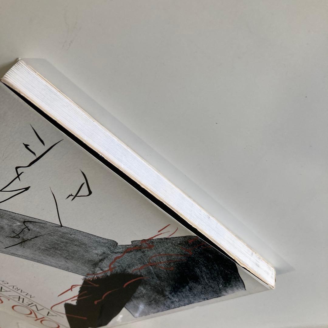 Toko Shinoda: A New Appreciation 篠田桃紅 画集