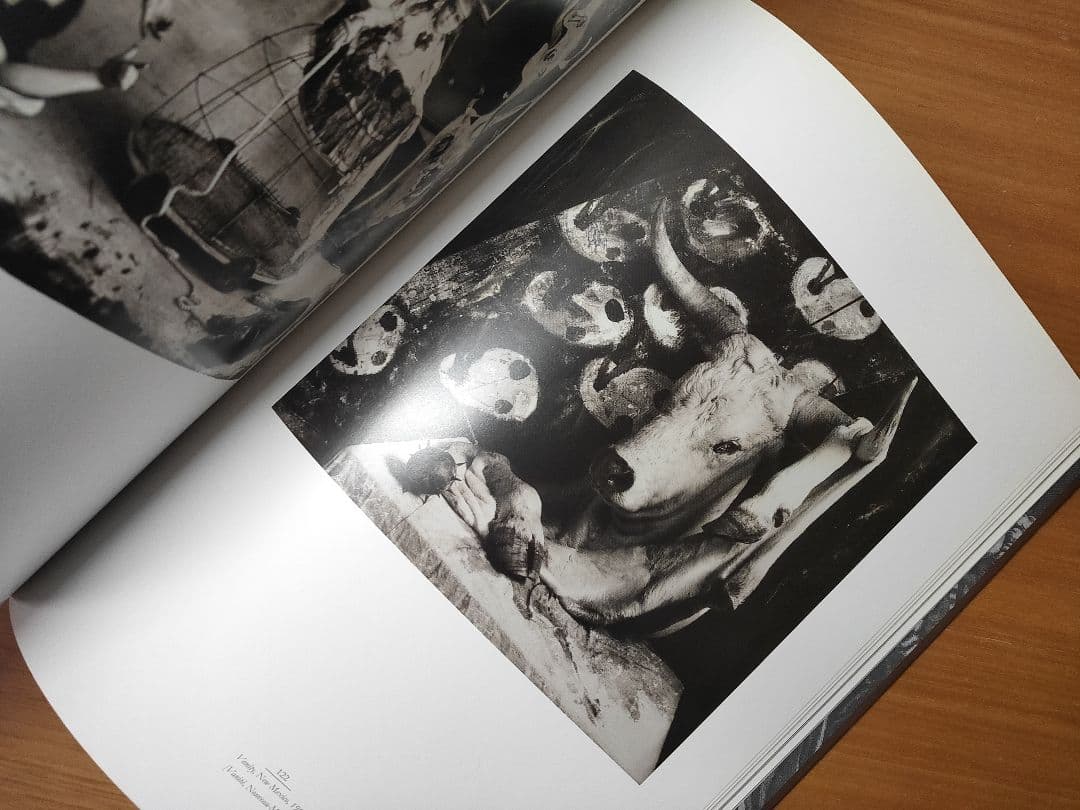 Joel-Peter Witkin: Heaven Or Hell　ウィトキン