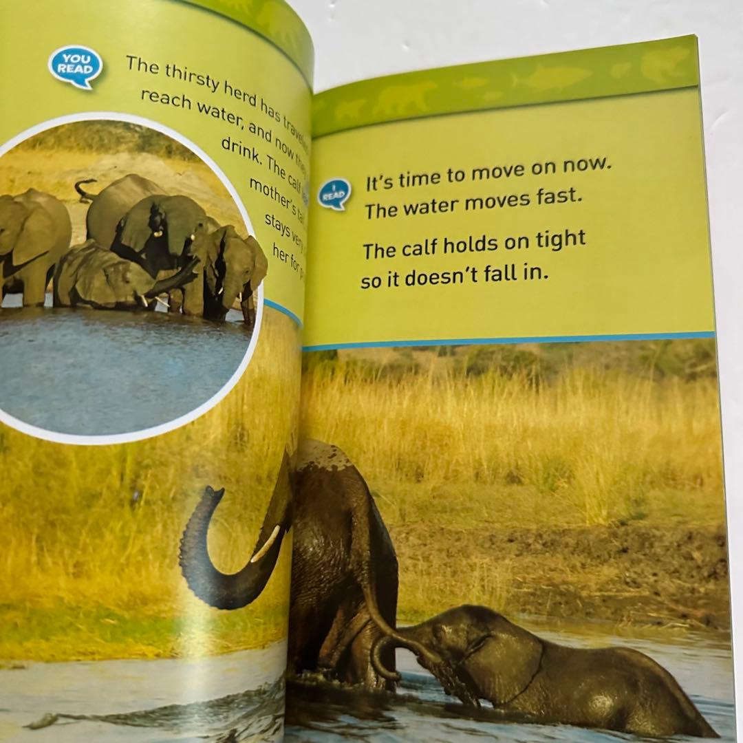 【レベル1】46冊 ナショジオNational Geographic kids