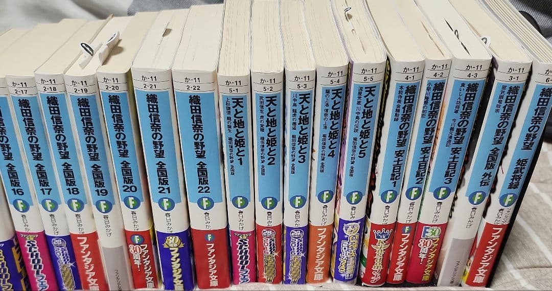 織田信奈の野望 全国版 外伝 他 全32冊 全巻セット　 ライトノベル 小説