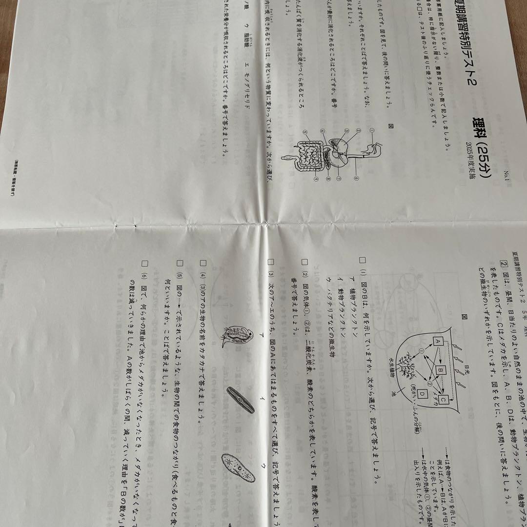 2025年 日能研 5年 夏期講習特別テスト❶❷❸