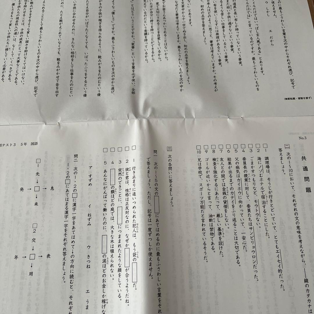 2025年 日能研 5年 夏期講習特別テスト❶❷❸