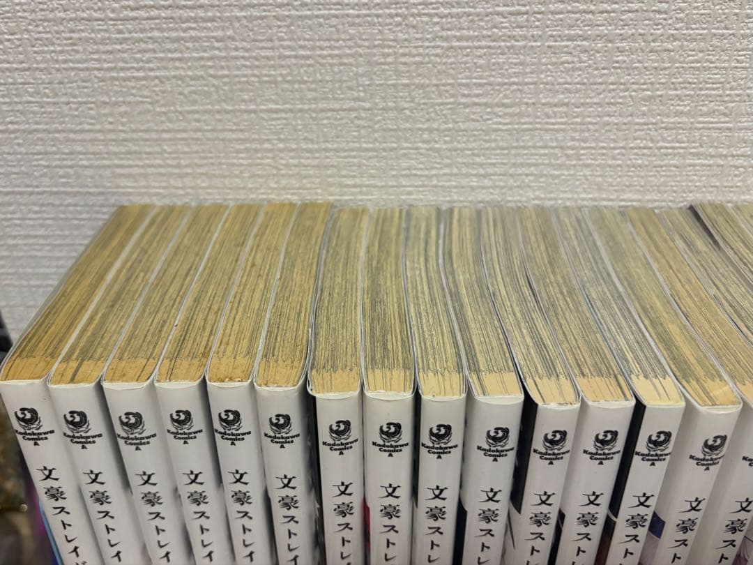 文豪ストレイドッグス まとめ売り