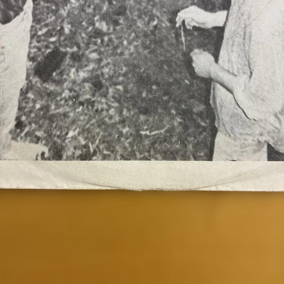 Radio Free Europe / R.E.M. 輸入盤7inchレコード