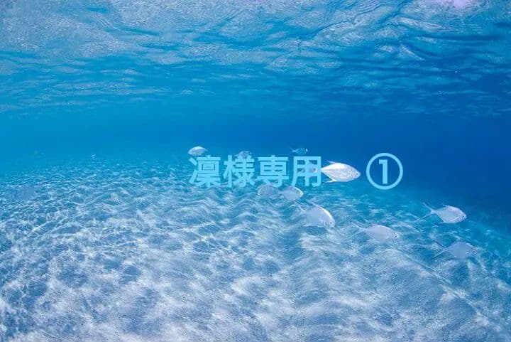 凜①