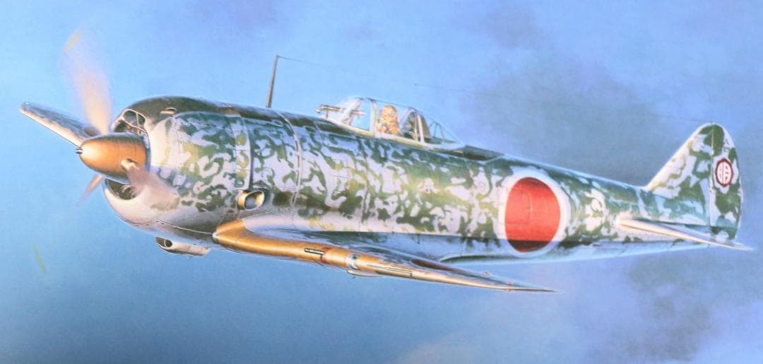 希少　フライング・カラーズ （Flying Colors ）小池繫夫　中古本