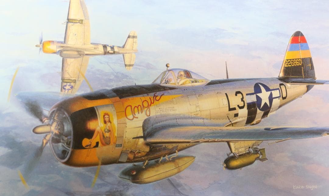 希少　フライング・カラーズ （Flying Colors ）小池繫夫　中古本