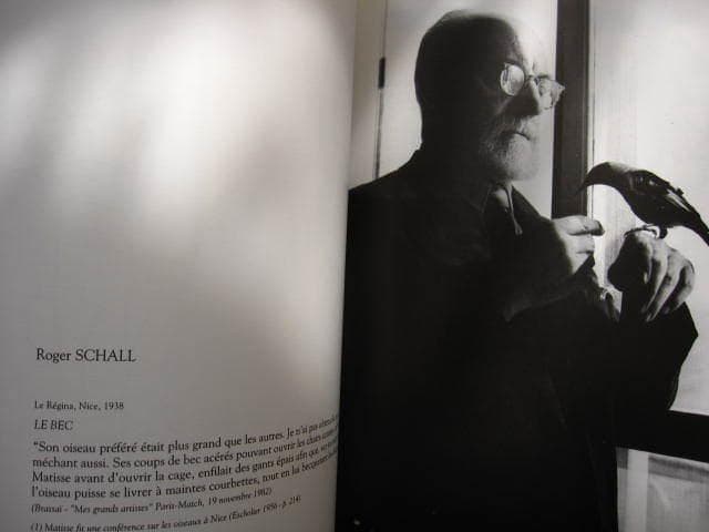 アート・デザイン・音楽 MATISSE PHOTOGRAPHIES / Henri Matisse